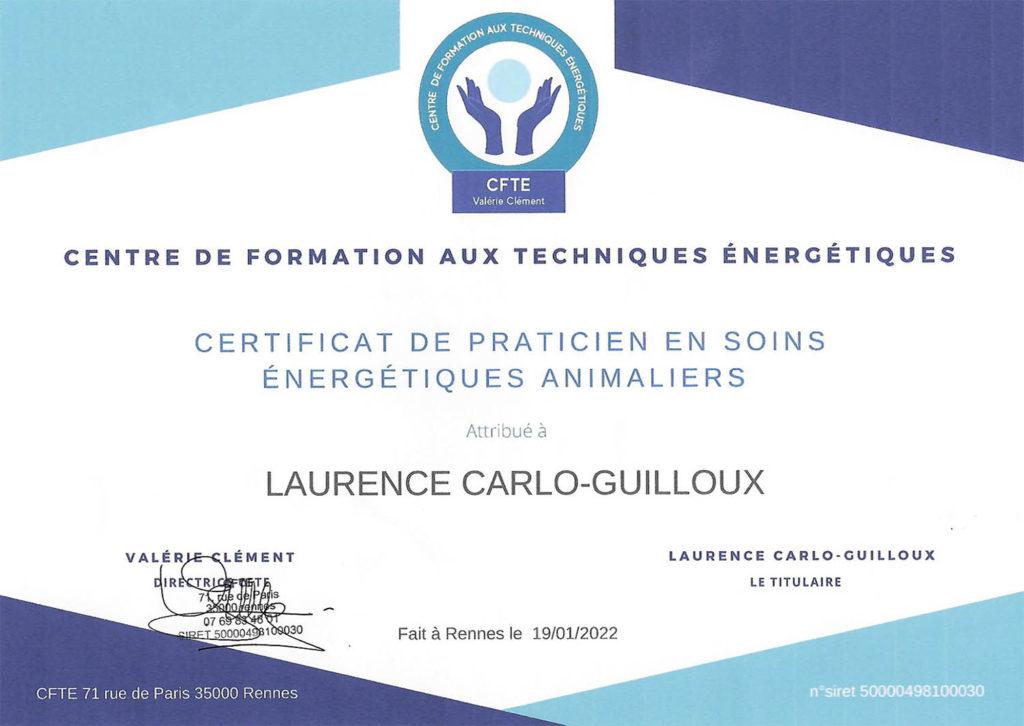 Certificat de praticien en soins énergétiques animaliers attribué à Laurence Carlo-Guilloux par le CFTE.
