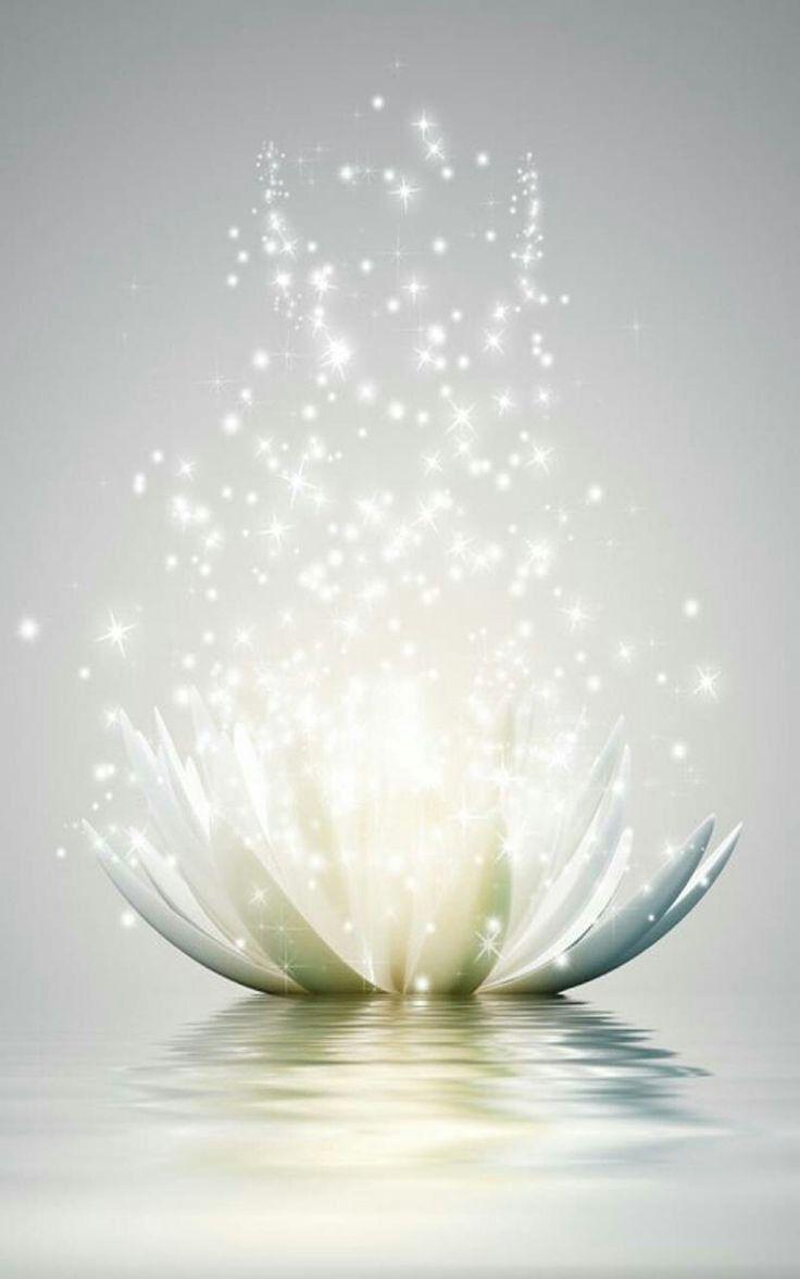 Fleur de lotus, symbole de paix intérieure et d’harmonie énergétique.