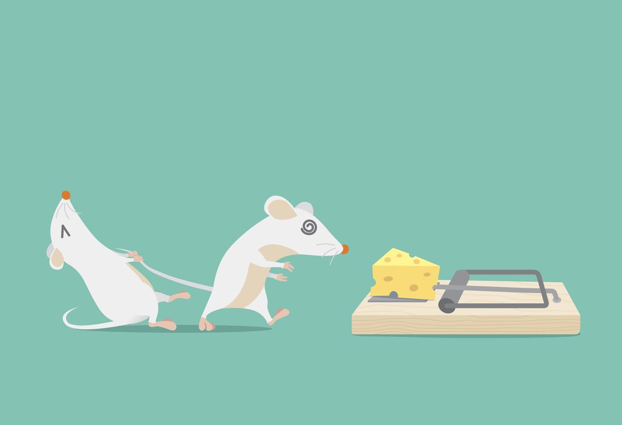 compulsion Alimentation