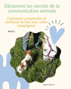 Explorez la communication animale : comment comprendre et nourrir les liens profonds avec vos compagnons à quatre pattes