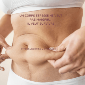 cortisol stress stockage graisse abdomen