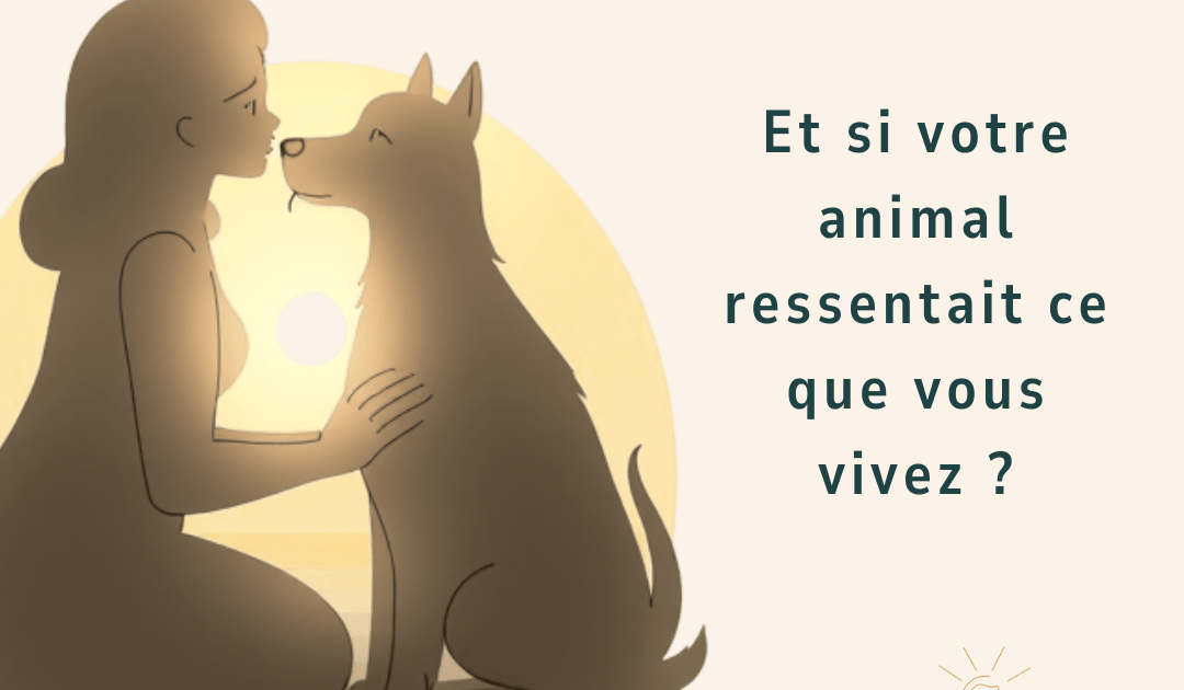 silhouette en réflexion représentant la compréhension des troubles psychologiques et l’écoute de soi pour prendre soin de sa santé mentale