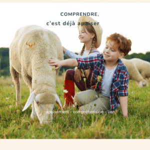 relation apaisée humain animal