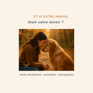 relation miroir entre humain et animal émotions