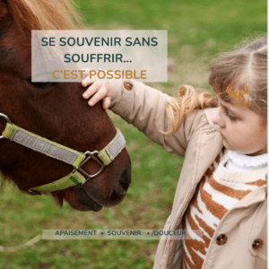 apaisement après perte animal