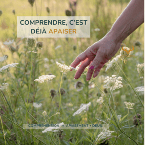 compréhension du deuil animal