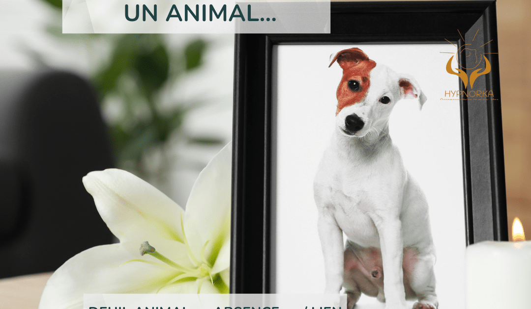 perte animal de compagnie émotion tristesse