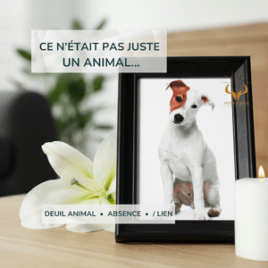 perte animal de compagnie émotion tristesse