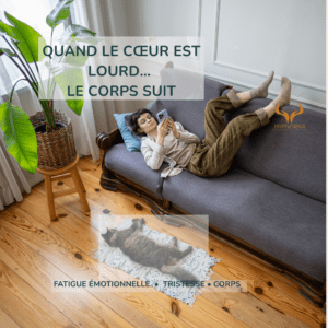 fatigue émotionnelle liée au deuil animal