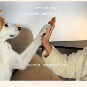 transformation relation humain animal bien-être