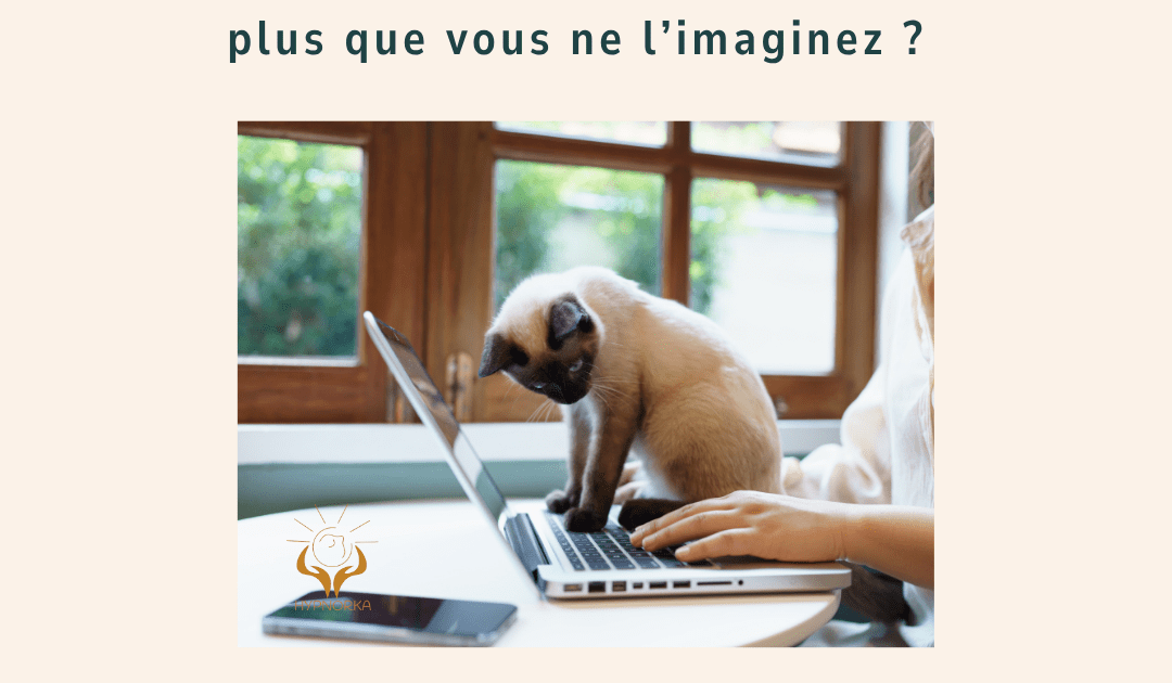 femme et animal connexion émotionnelle bien-être