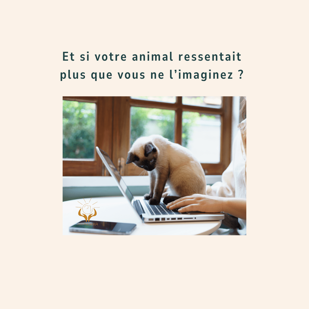 femme et animal connexion émotionnelle bien-être
