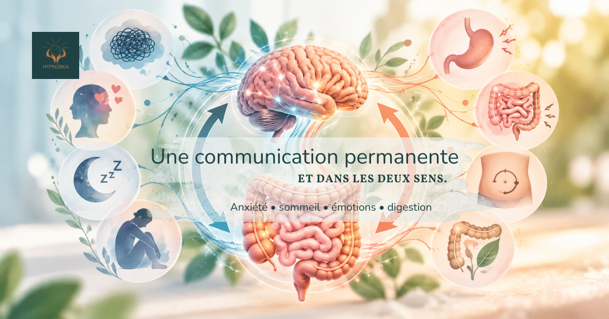 Illustration de l’axe intestin-cerveau et de sa communication dans les deux sens